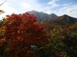 DSC01609.JPG