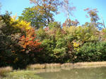 DSC01617.JPG