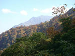 DSC01619.JPG