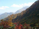 DSC01624.JPG