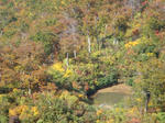 DSC01635.JPG