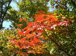 DSC01637.JPG