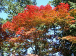 DSC01674.JPG