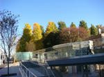 DSC01691.JPG