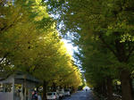 DSC01692.JPG
