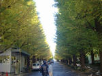 DSC01693.JPG