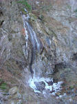0351306d.JPG