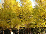 DSC01761.JPG