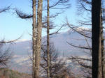 DSC01697.JPG