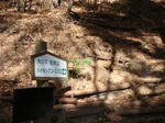 DSC01696.JPG