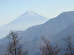 DSC01721.JPG