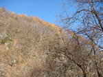 DSC01742.JPG