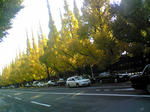DVC00046.JPG