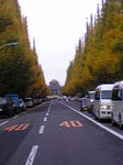 DVC00049.JPG
