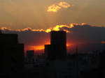 DSC01773.JPG