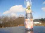 DSC01904.JPG