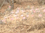 DSC01913.JPG