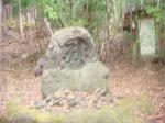 DSC01916.JPG