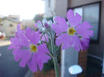 DSC01962.JPG