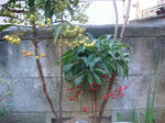 DSC01964.JPG