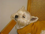 DSC02005.JPG