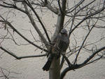 DSC02055.JPG