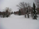 DSC02082.JPG