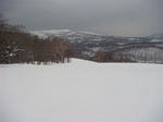 DSC02083.JPG