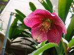 DSC02127.JPG