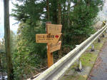 DSC02133.JPG