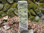 DSC02134.JPG