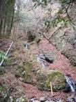 DSC02136.JPG