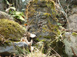 DSC02145.JPG