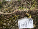 DSC02146.JPG