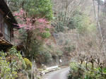 DSC02151.JPG