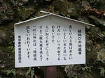 DSC02154.JPG
