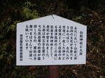 DSC02171.JPG