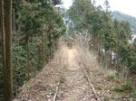 DSC02179.JPG