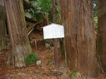 DSC02187.JPG