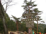DSC02217.JPG