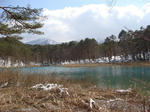 DSC02231.JPG