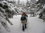 DSC02238.JPG