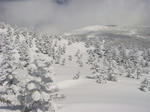 DSC02242.JPG