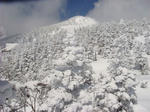 DSC02243.JPG