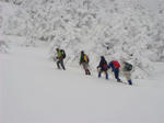 DSC02247.JPG