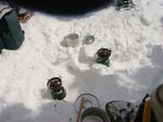 DSC02250.JPG