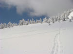 DSC02251.JPG
