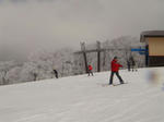 DSC02253.JPG