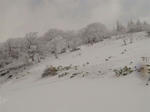 DSC02254.JPG