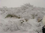 DSC02257.JPG